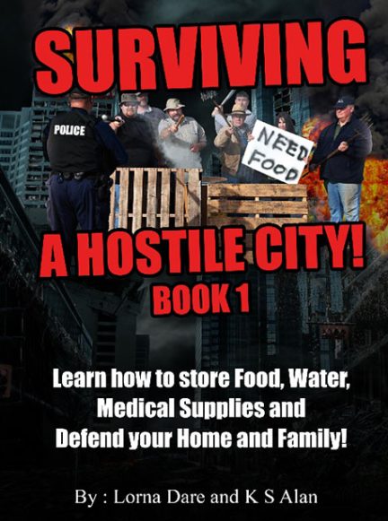surviving_hostile_city